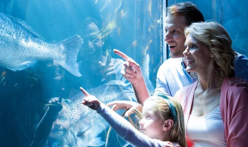 Dubai Aquarium & Underwater Zoo